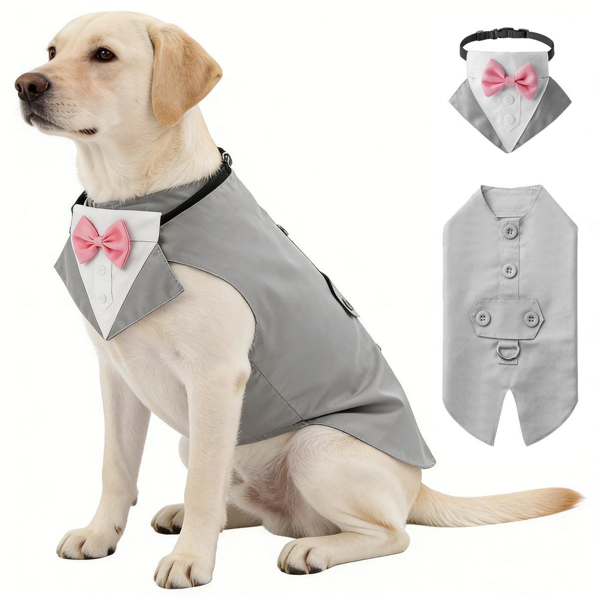 Costume de cérémonie pour chien avec col à nœud