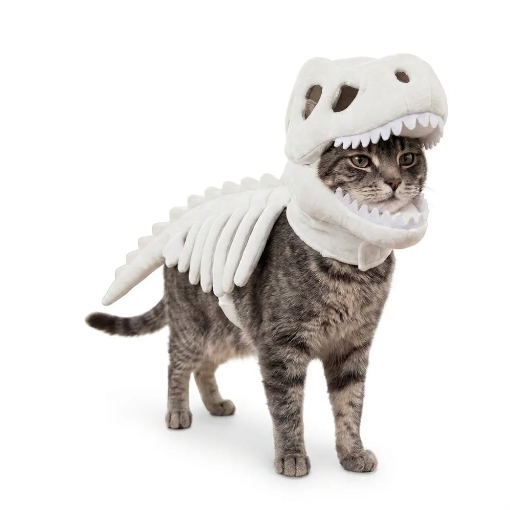 Déguisement dinosaure phosphorescent pour chat
