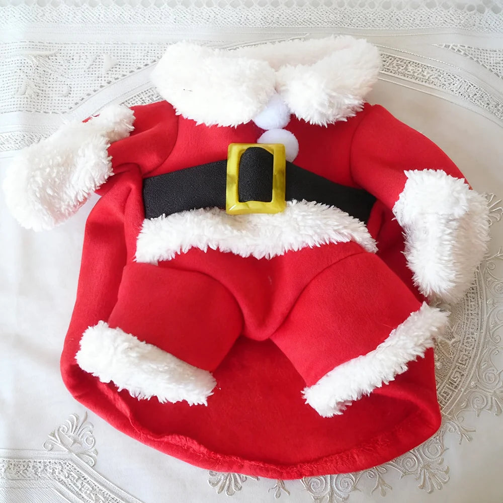 Déguisement de Père Noël pour chat et petit chien