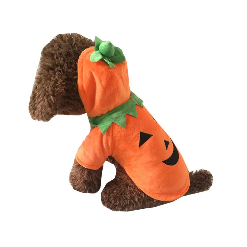 Sweat citrouille à capuche pour petit chien — vue 4