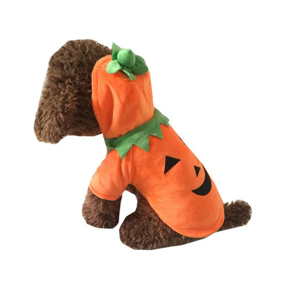 Sweat citrouille à capuche pour petit chien — vue 4