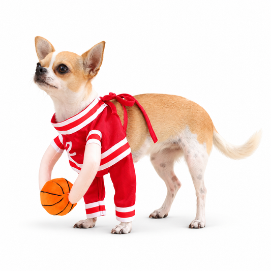 Costumes décalés pour chat et petit chien — vue 6