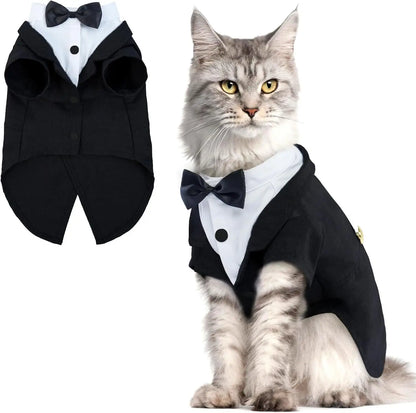 Smoking à nœud papillon pour chat — vue 2