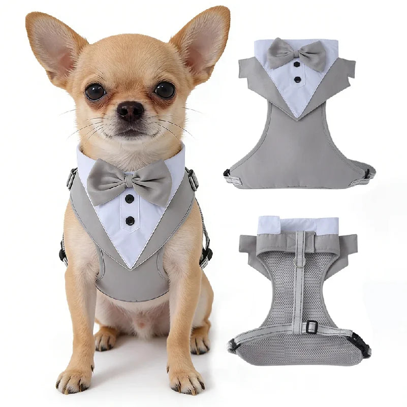 Gilet de cérémonie à nœud papillon pour chien