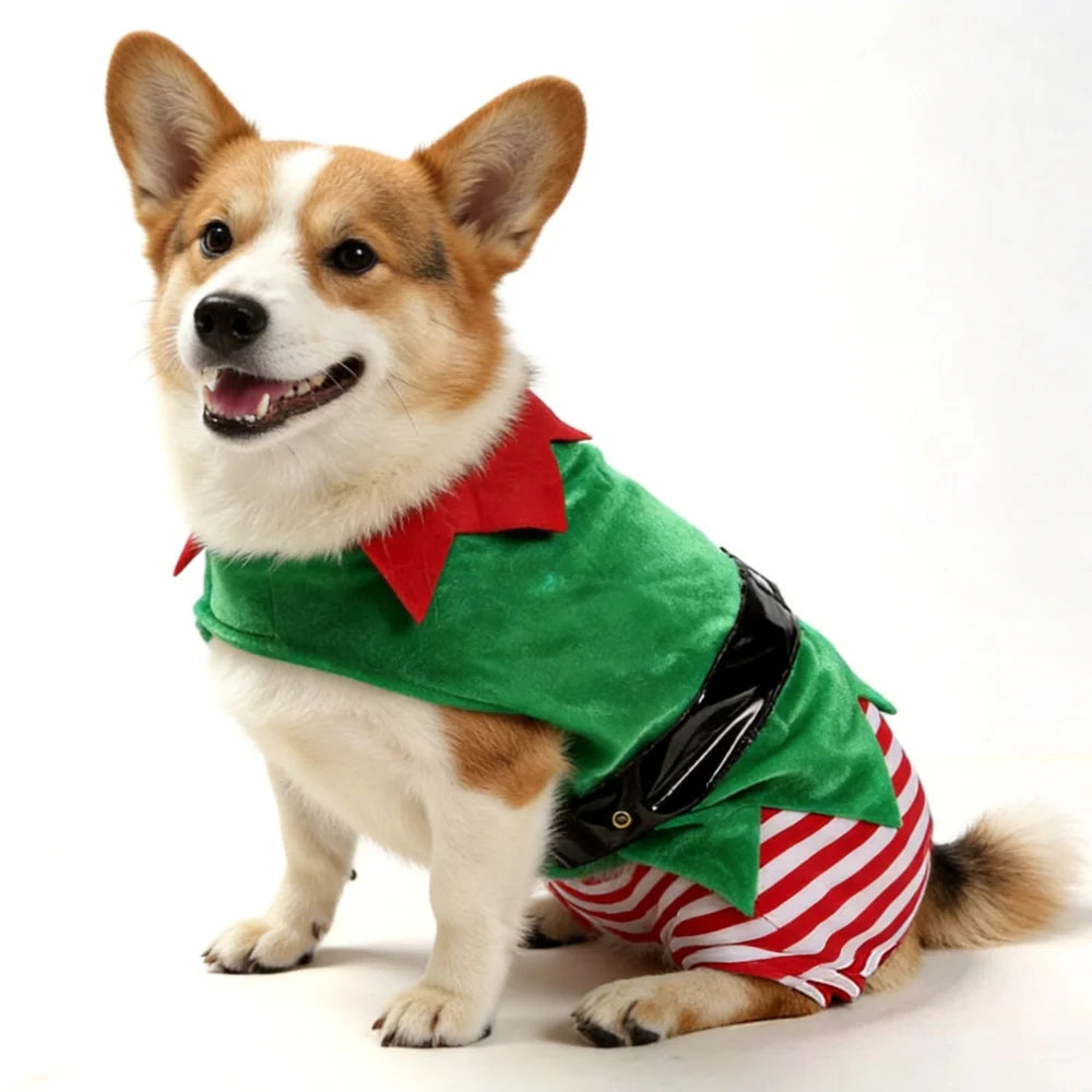 Déguisement lutin de Noël pour chien et chat — vue 2