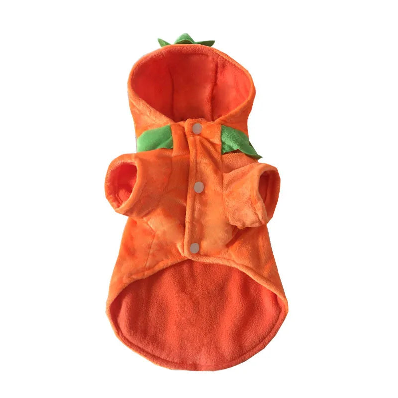 Sweat citrouille à capuche pour petit chien — vue 2