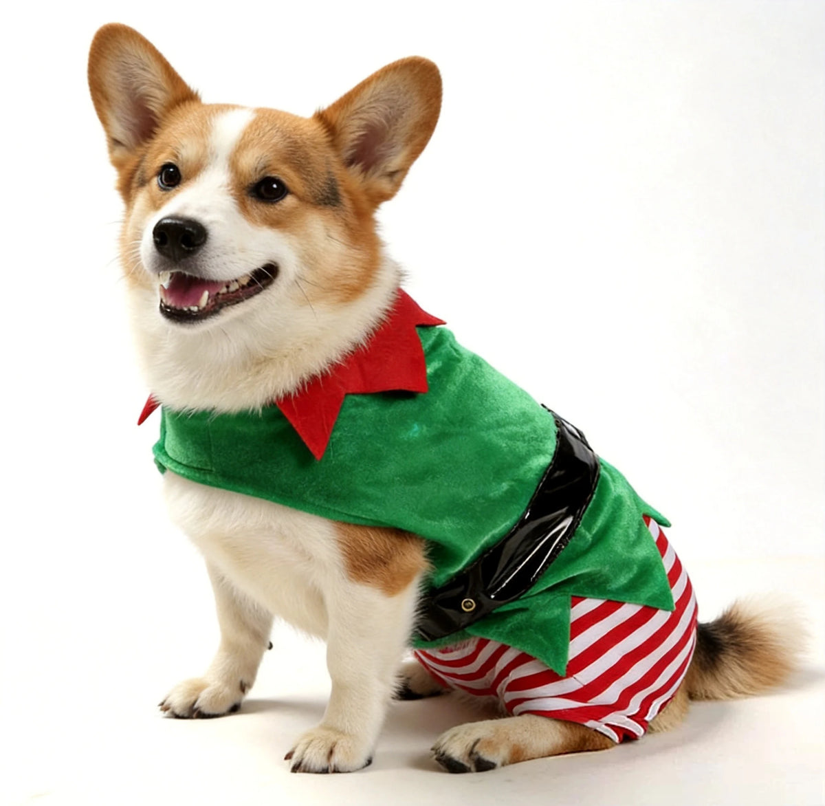 Déguisement lutin de Noël pour chien et chat — vue 6