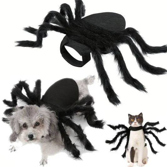 Déguisement d’araignée velue pour chat et petit chien