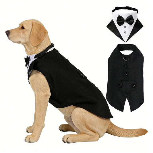 Costume de cérémonie pour chien avec col à nœud
