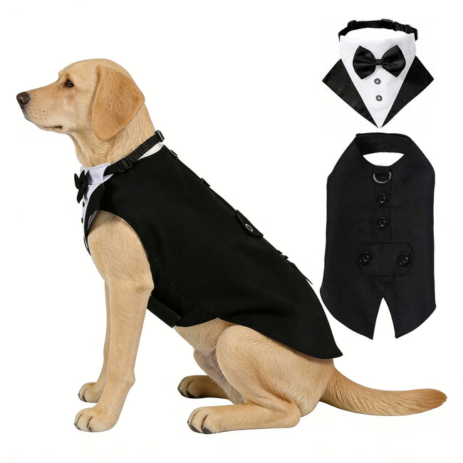 Costume de cérémonie pour chien avec col à nœud