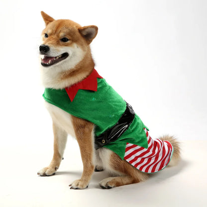 Déguisement lutin de Noël pour chien et chat — vue 4
