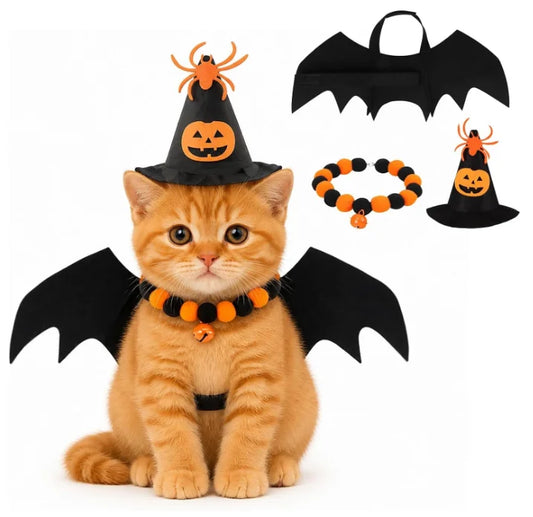Kit chauve-souris pour chat et petit chien