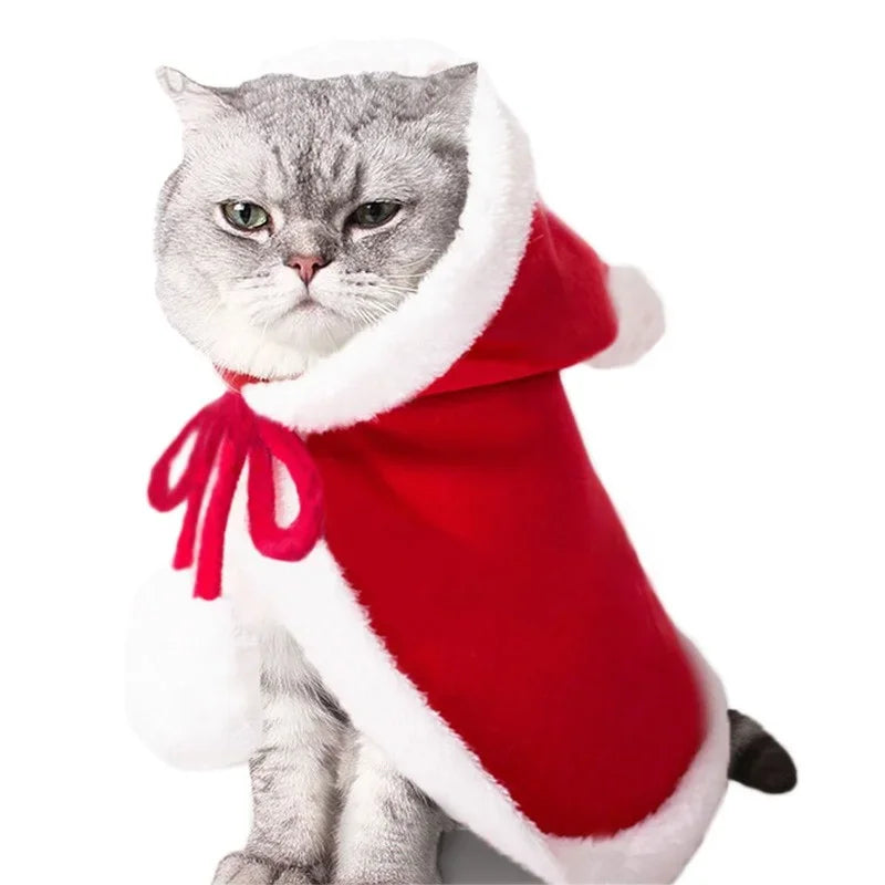 Accessoires de Noël pour chat et petit chien