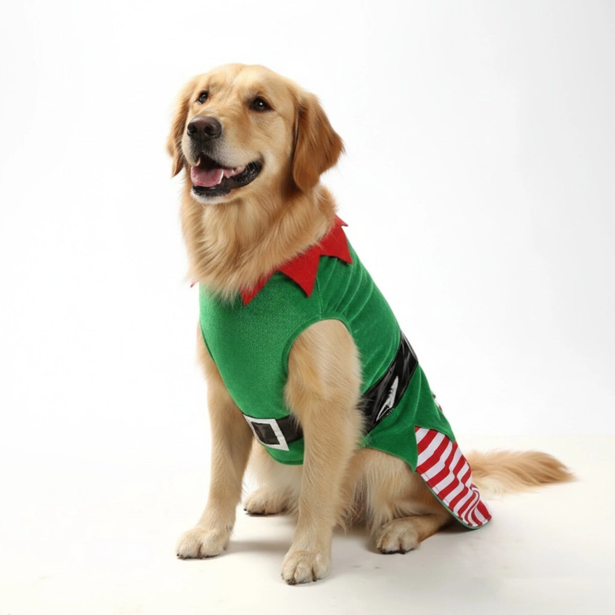 Déguisement lutin de Noël pour chien et chat