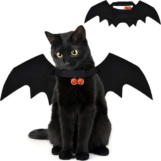 Ailes de chauve-souris pour chat et petit chien
