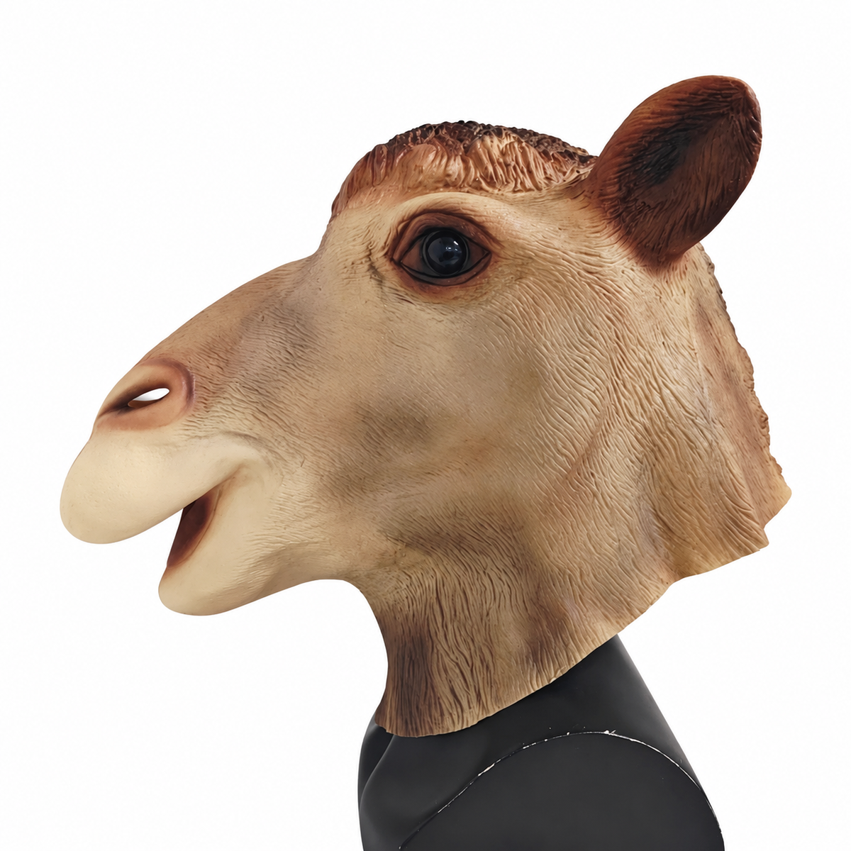 Masque de chameau en latex – adulte – vue 1